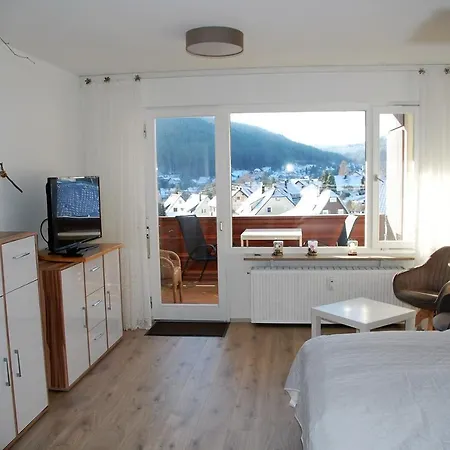 Apartment Mit Aussicht Enzklosterle